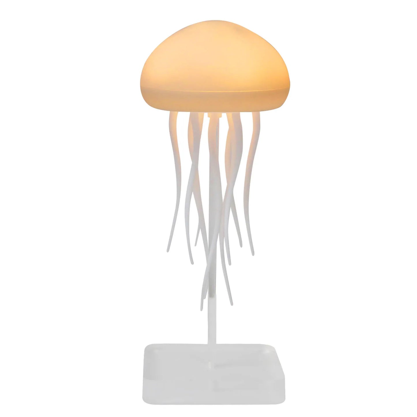 The jellyfish