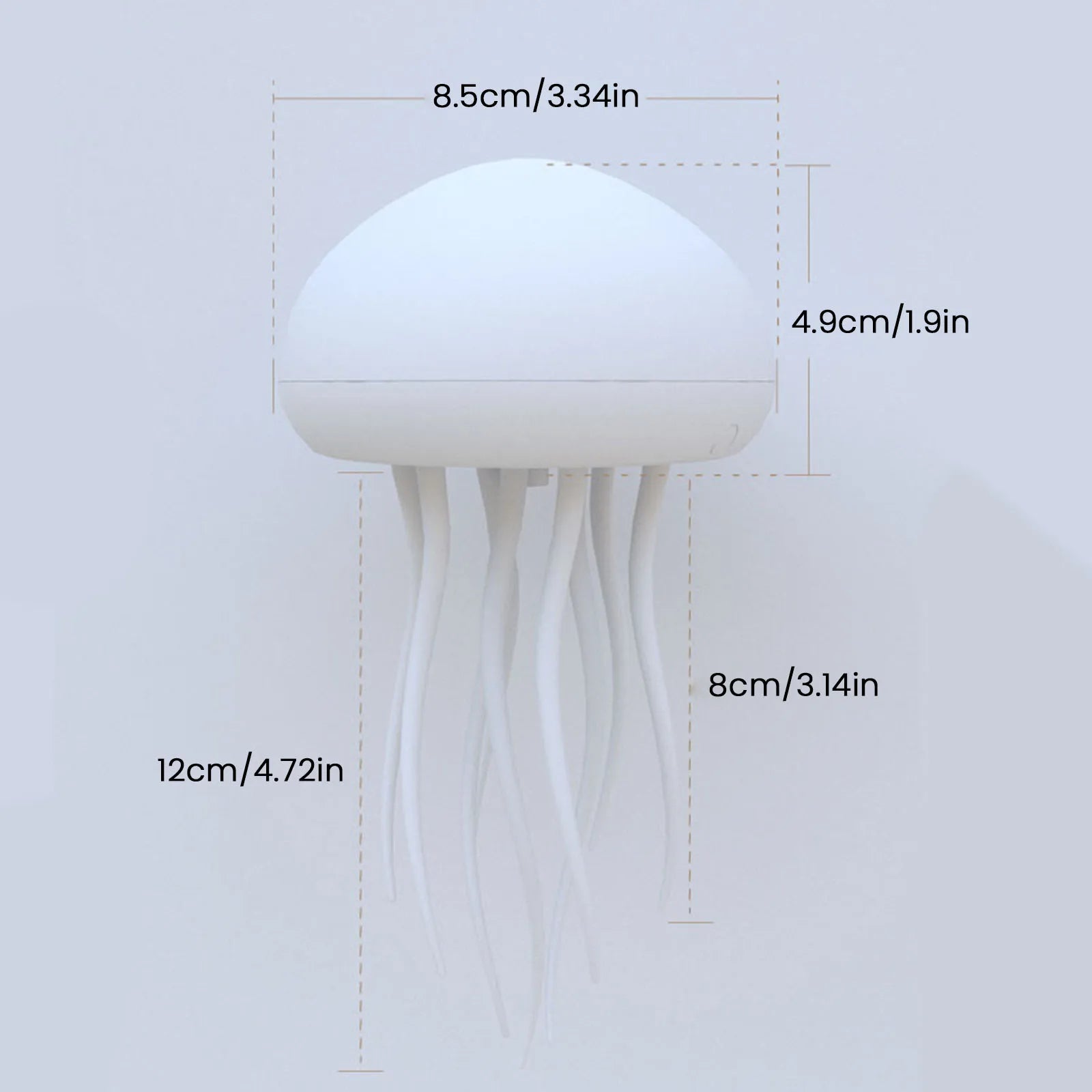 The jellyfish