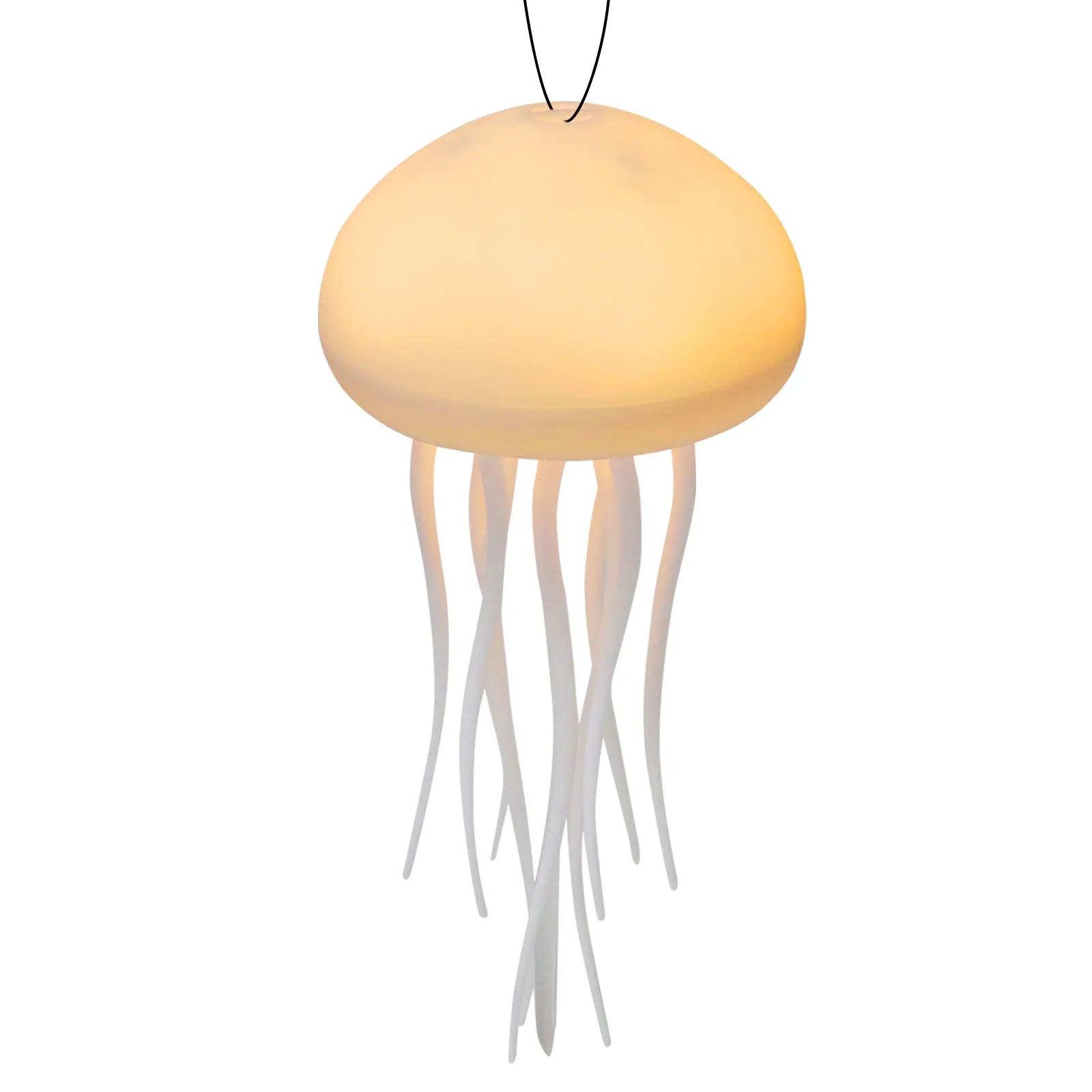 The jellyfish