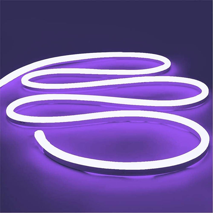 Cuerda de luz de neón